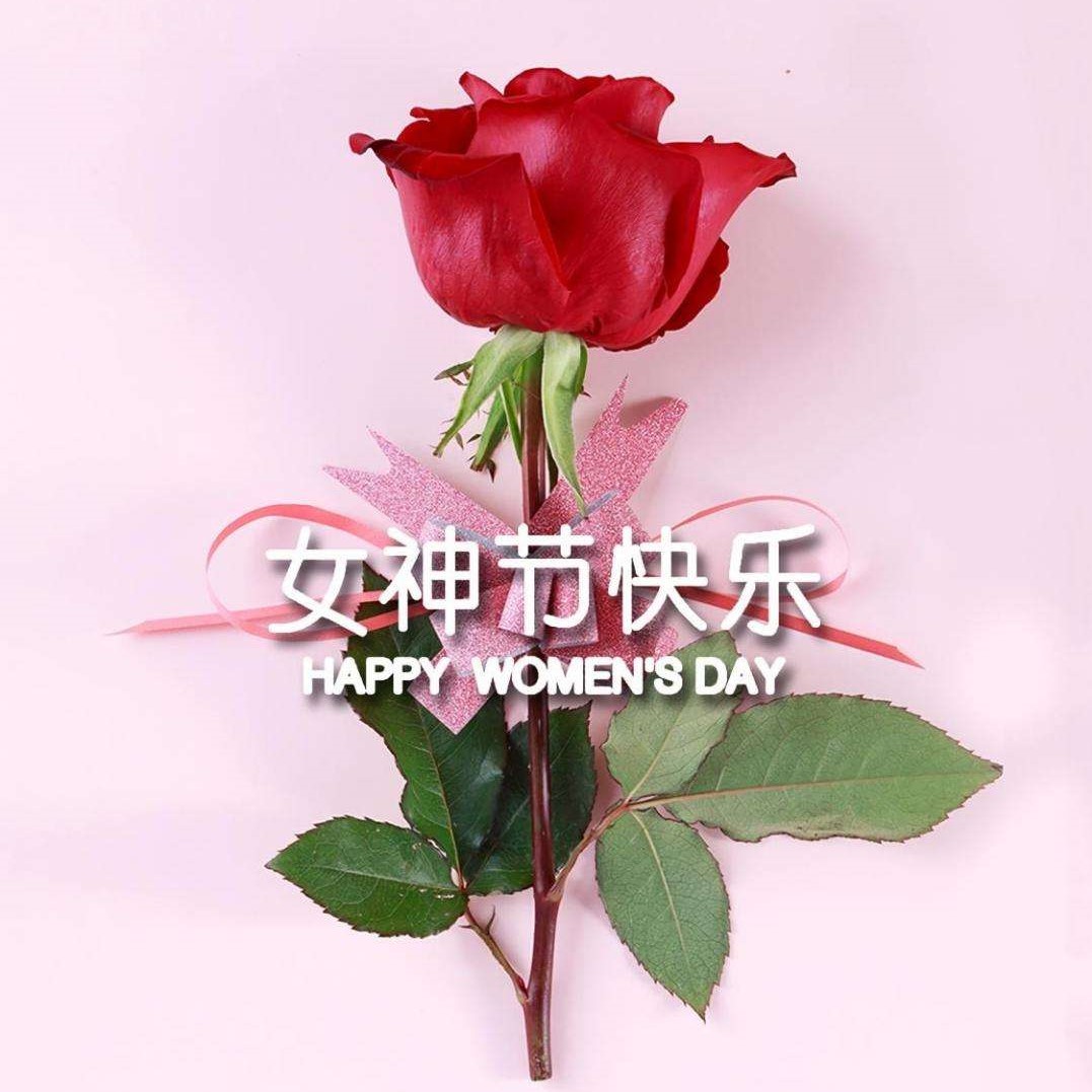 女神節(jié)特輯丨以醫(yī)療力量，筑女性健康